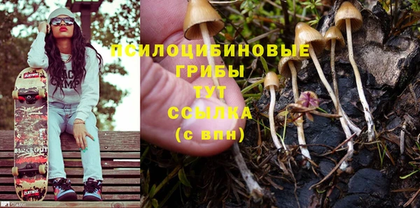 герыч Зерноград