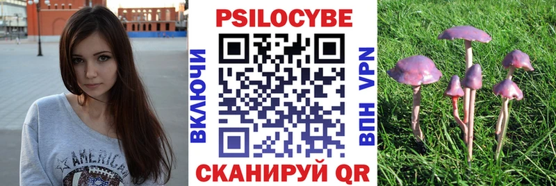 Купить закладки  Павловск  Галлюциногенные грибы мицелий 